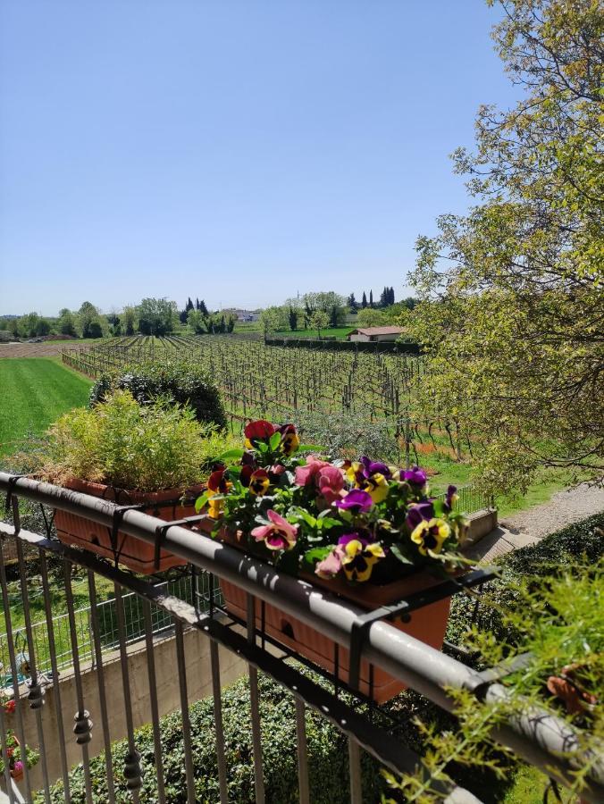 Agriturismo La Vigna Cola (Verona) Exterior foto