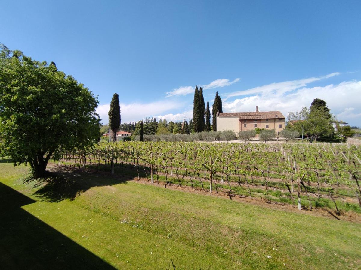 Agriturismo La Vigna Cola (Verona) Exterior foto