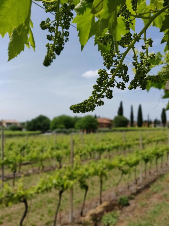 Agriturismo La Vigna Cola (Verona) Exterior foto